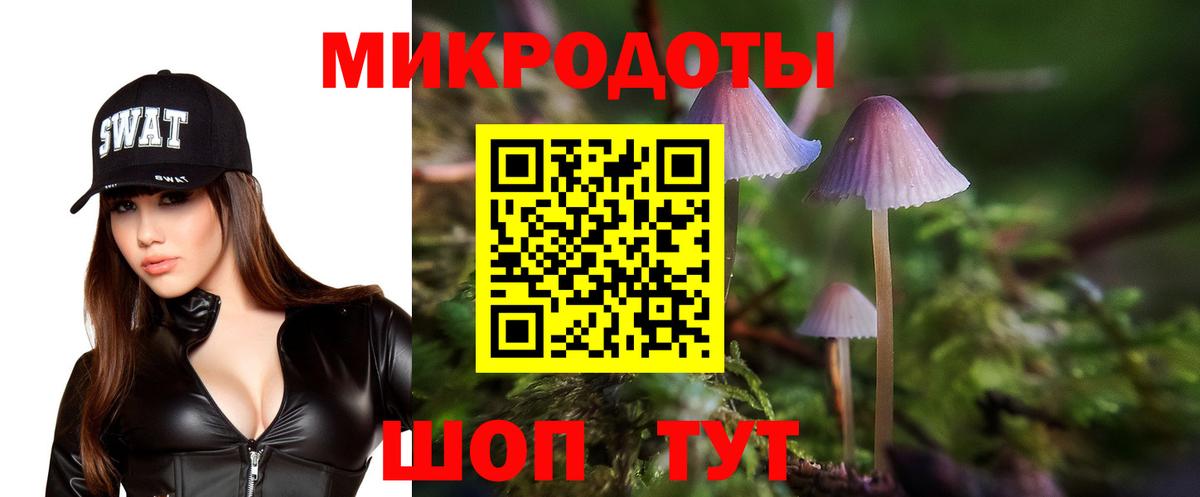 Псилоцибиновые грибы Psilocybine cubensis  Вход с VPN  Пенза 