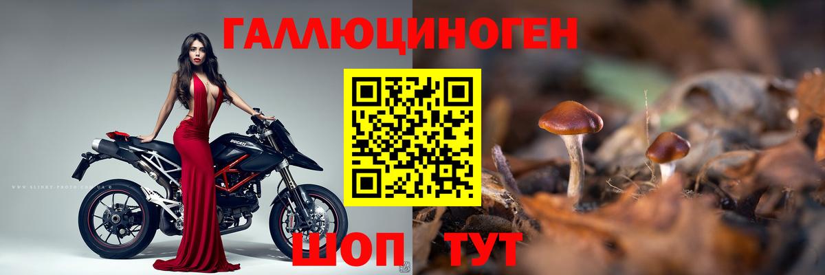 Псилоцибиновые грибы MAGIC MUSHROOMS Пенза
